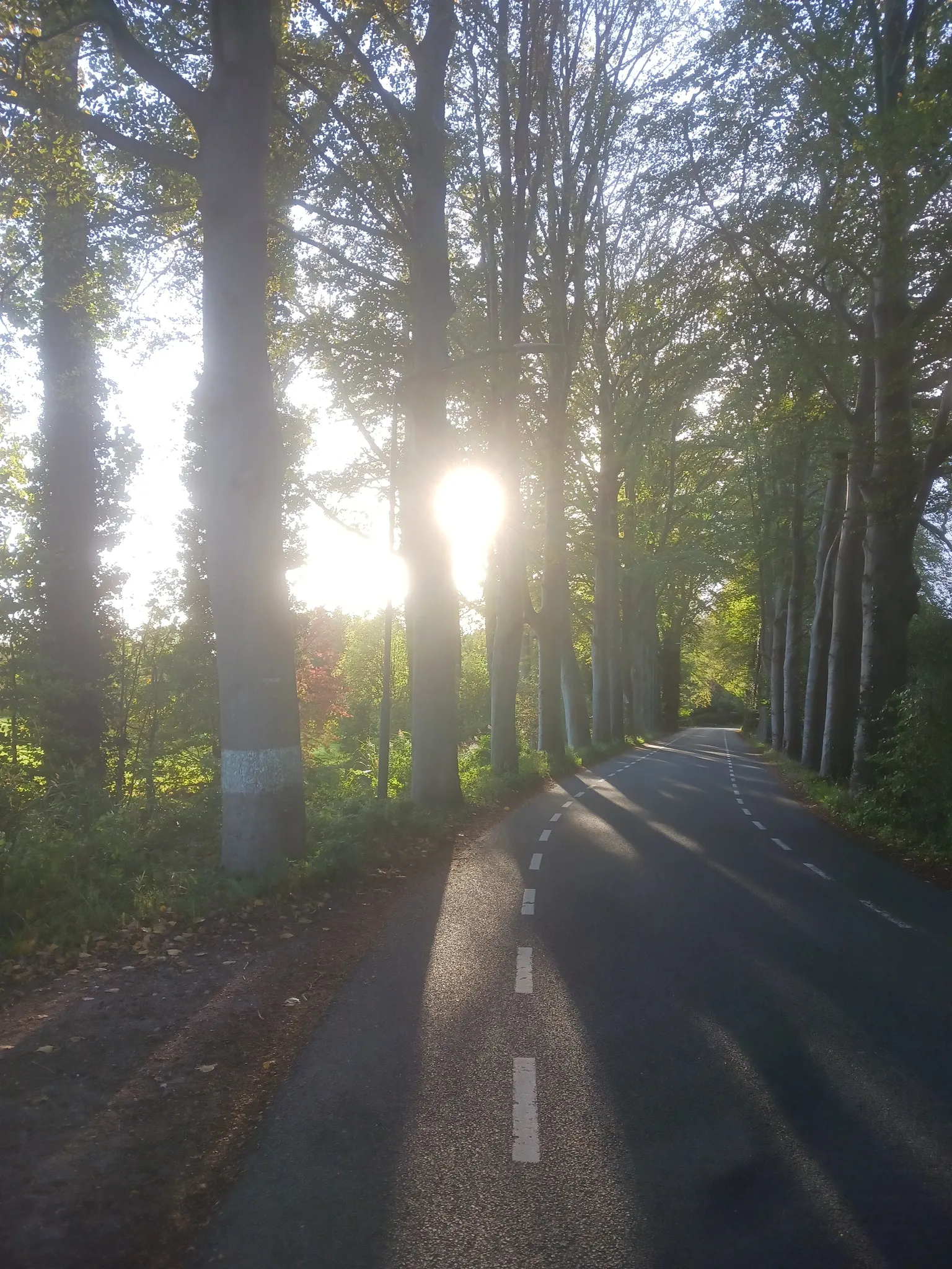 Afbeelding bij bericht van Hilde Boeren