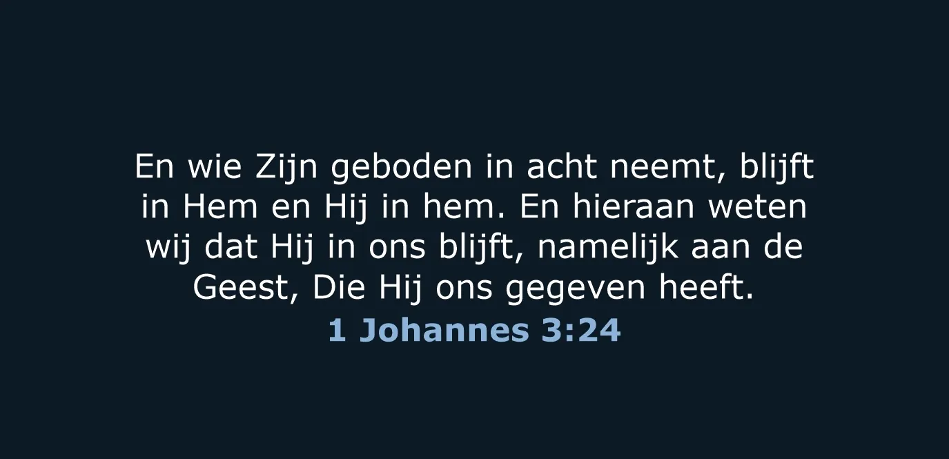 Afbeelding bij bericht van Rody J