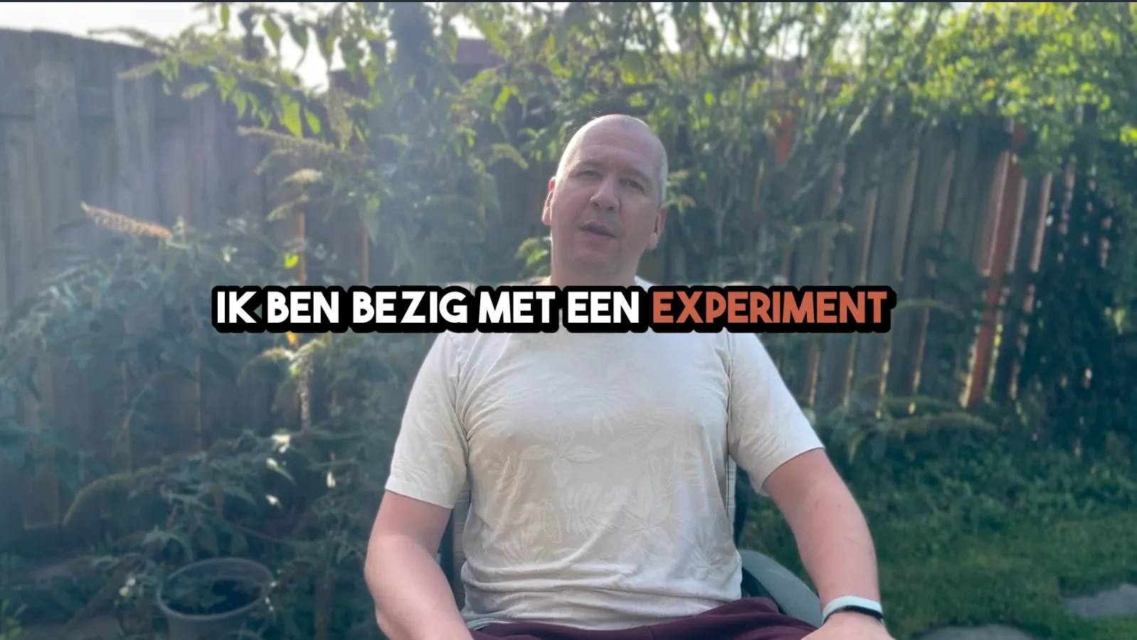 Afbeelding bij bericht van Alex Timmer