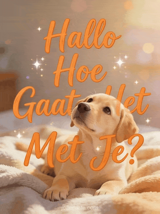 Afbeelding bij bericht van Martijn Hessels