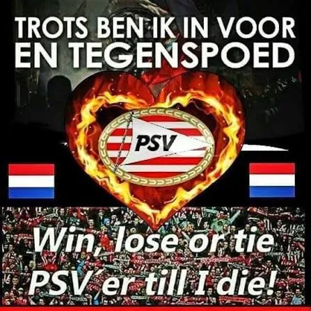 Afbeelding bij bericht van Angela Van Beek