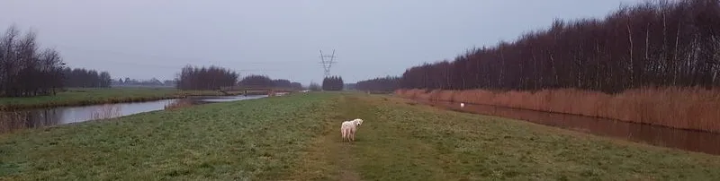Afbeelding bij bericht van Erik Treffers