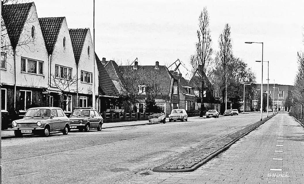 Afbeelding bij bericht van Wilma Van van Velzen