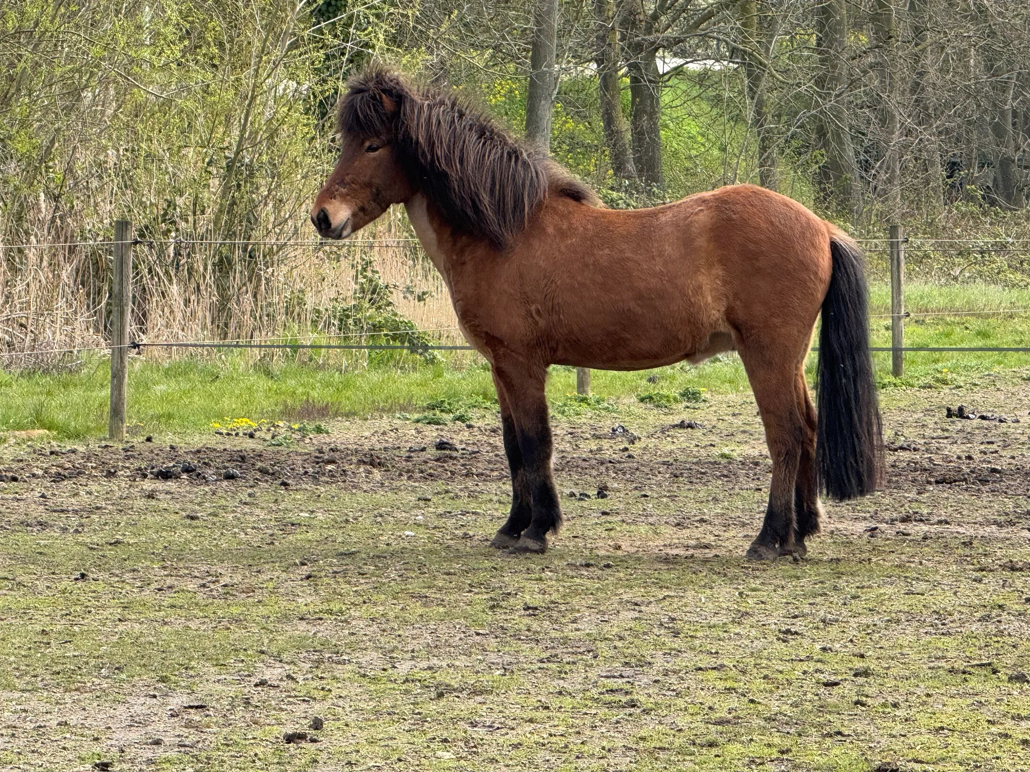 Afbeelding bij bericht van Rineke Louws