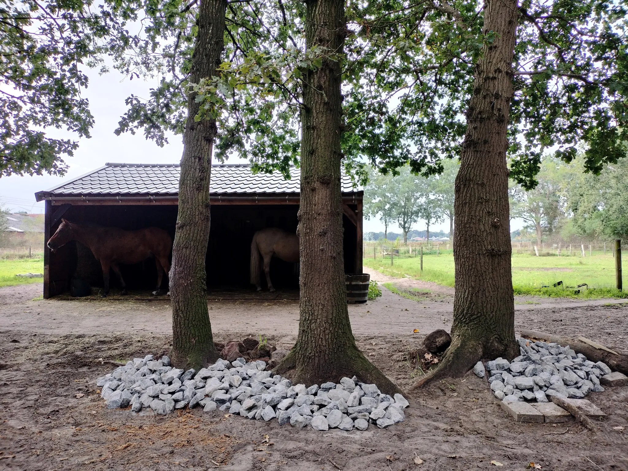 Afbeelding bij bericht van Aline Van van Wijk