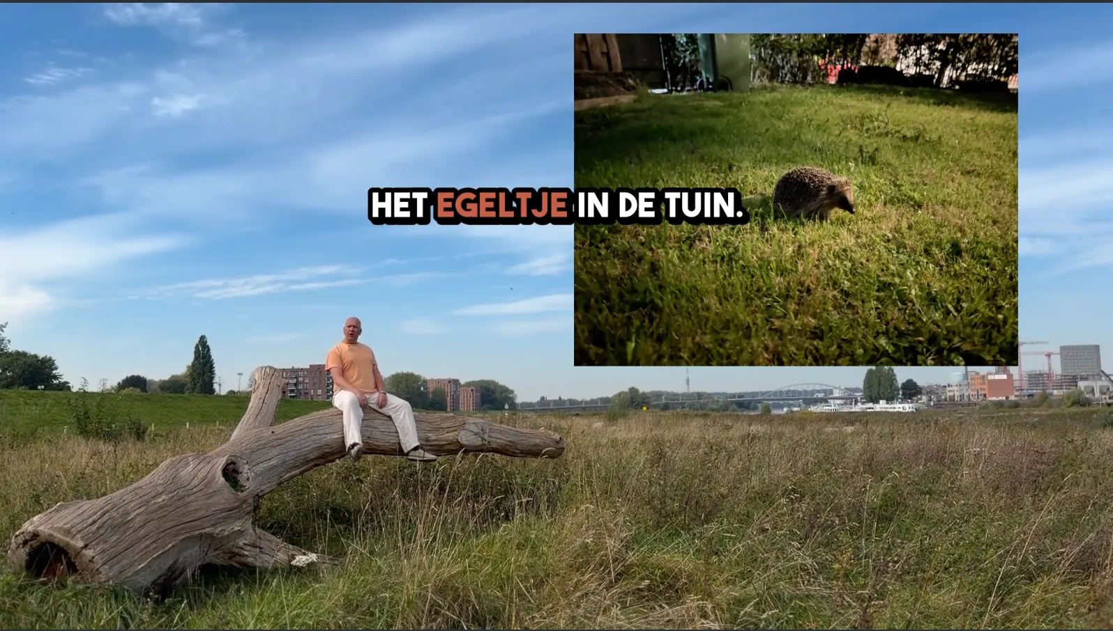 Afbeelding bij bericht van Alex Timmer