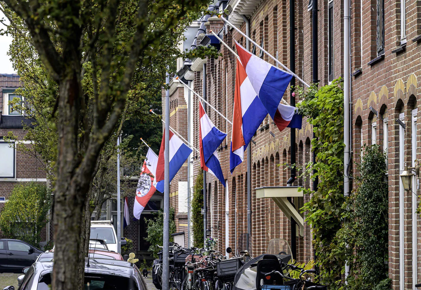 Afbeelding bij bericht van Redactie HD