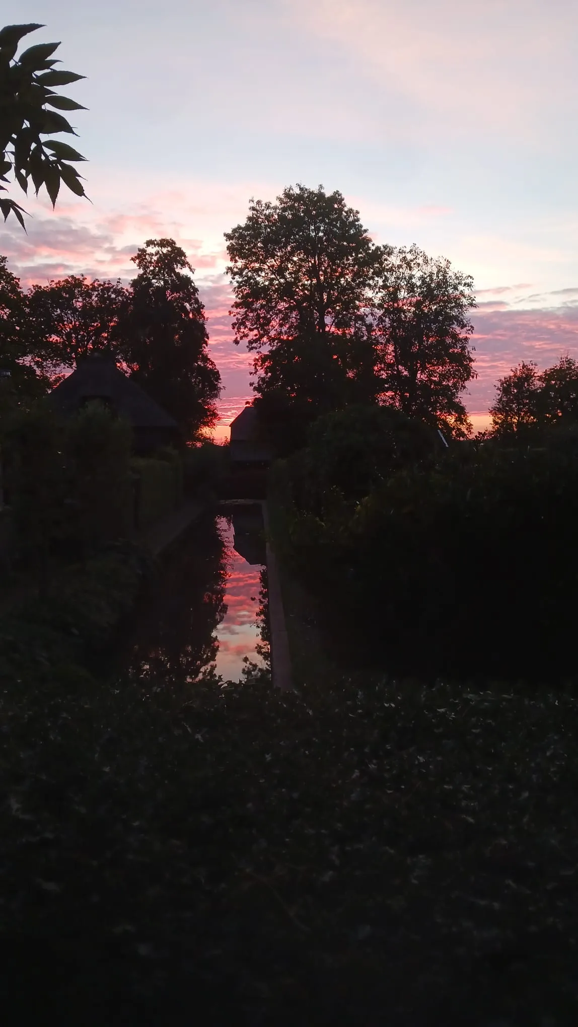 Afbeelding bij bericht van Hilde Boeren