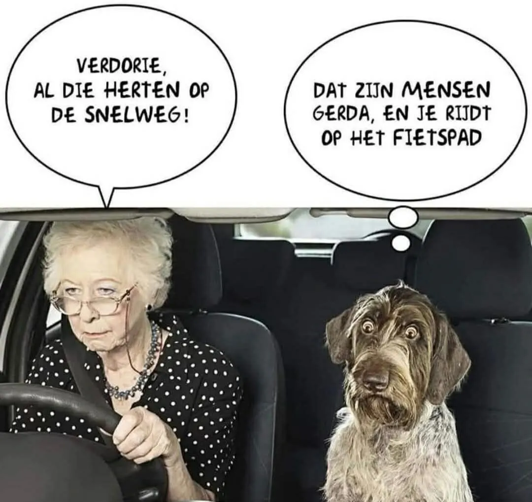 Afbeelding bij bericht van Anoniem Onbekende