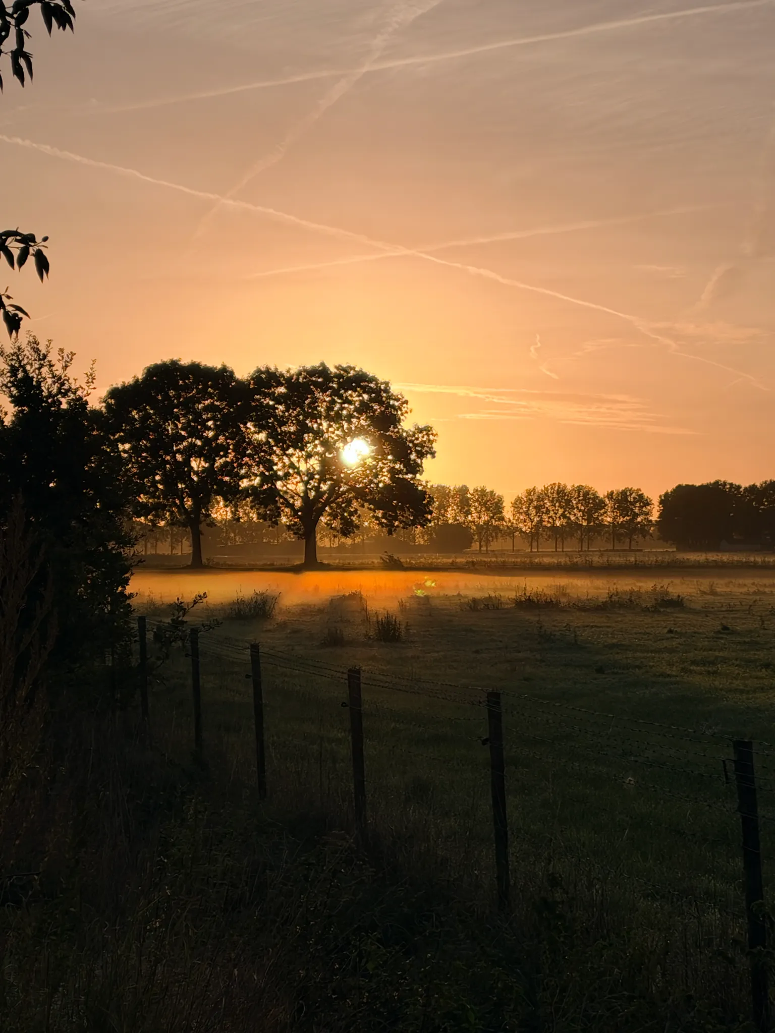 Afbeelding bij bericht van Cara Van Den Rijken