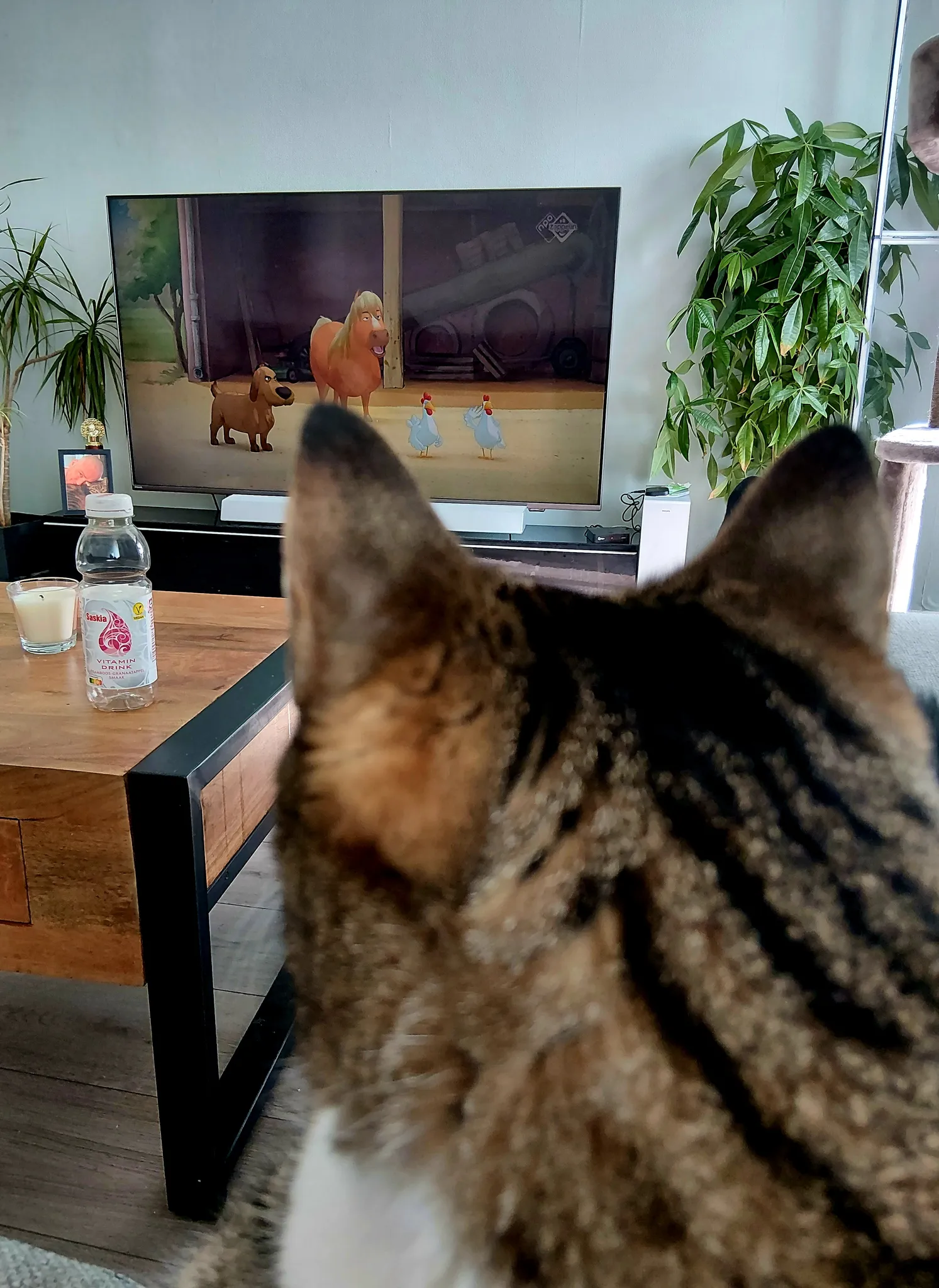 Afbeelding bij bericht van Wilfred Schortemeijer