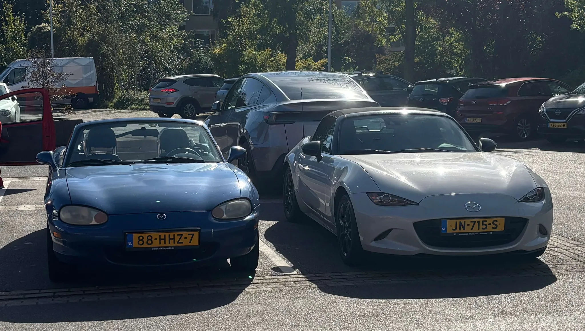 Afbeelding bij bericht van Dani Van der Mijl