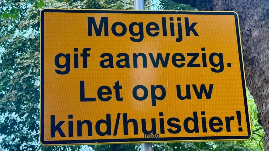 Afbeelding bij bericht van Debby Van Dongen