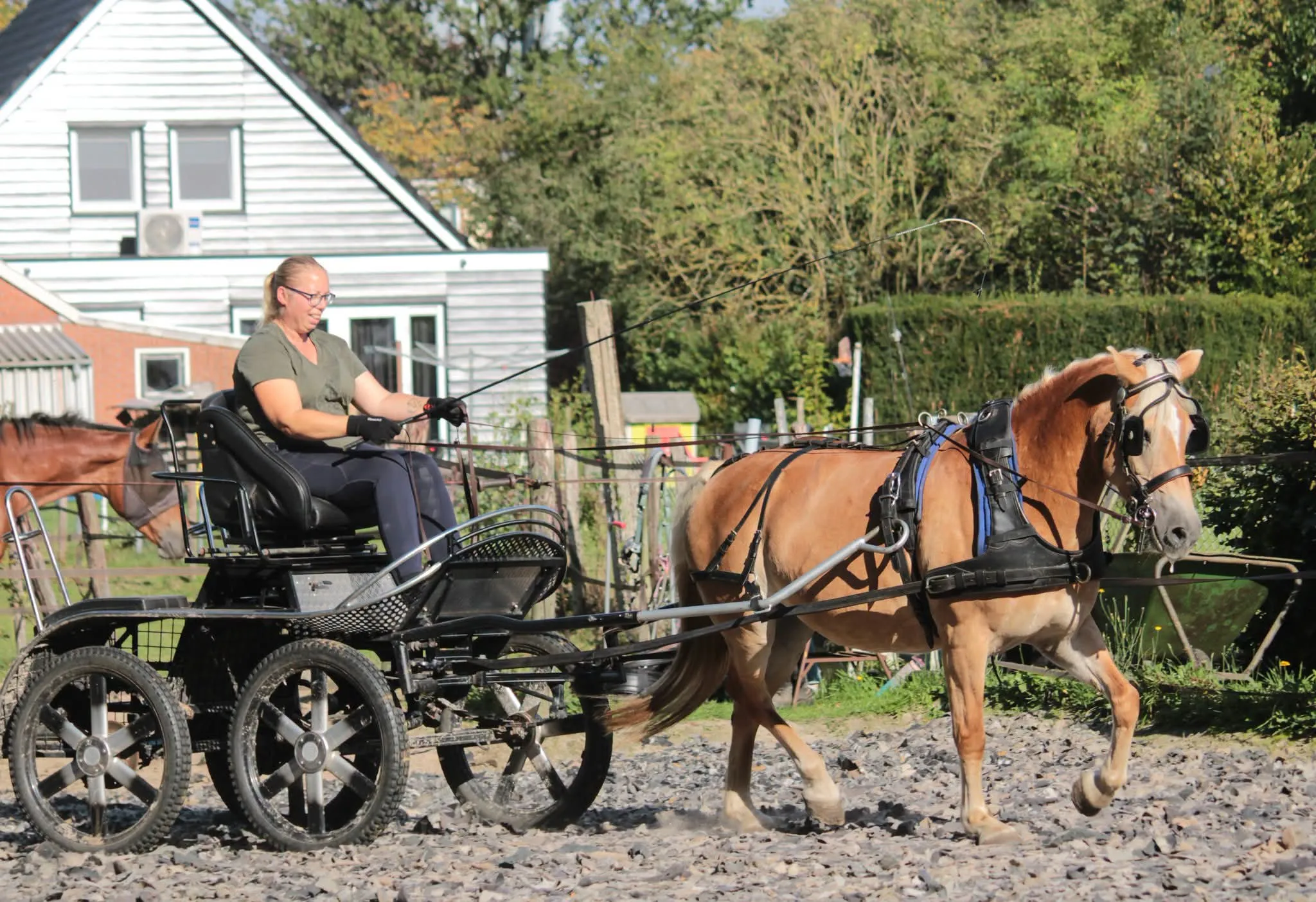 Afbeelding bij bericht van Claudia Rolfes