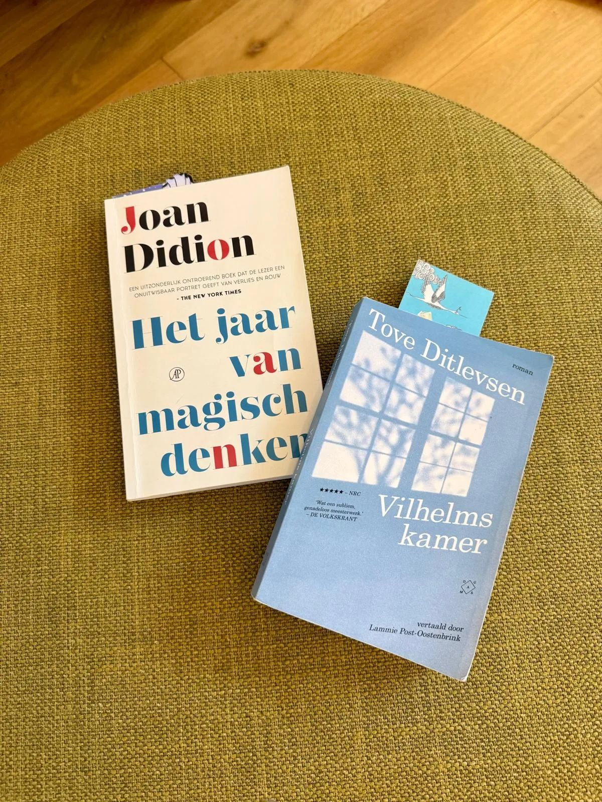 Afbeelding bij bericht van Aïda Peimaei