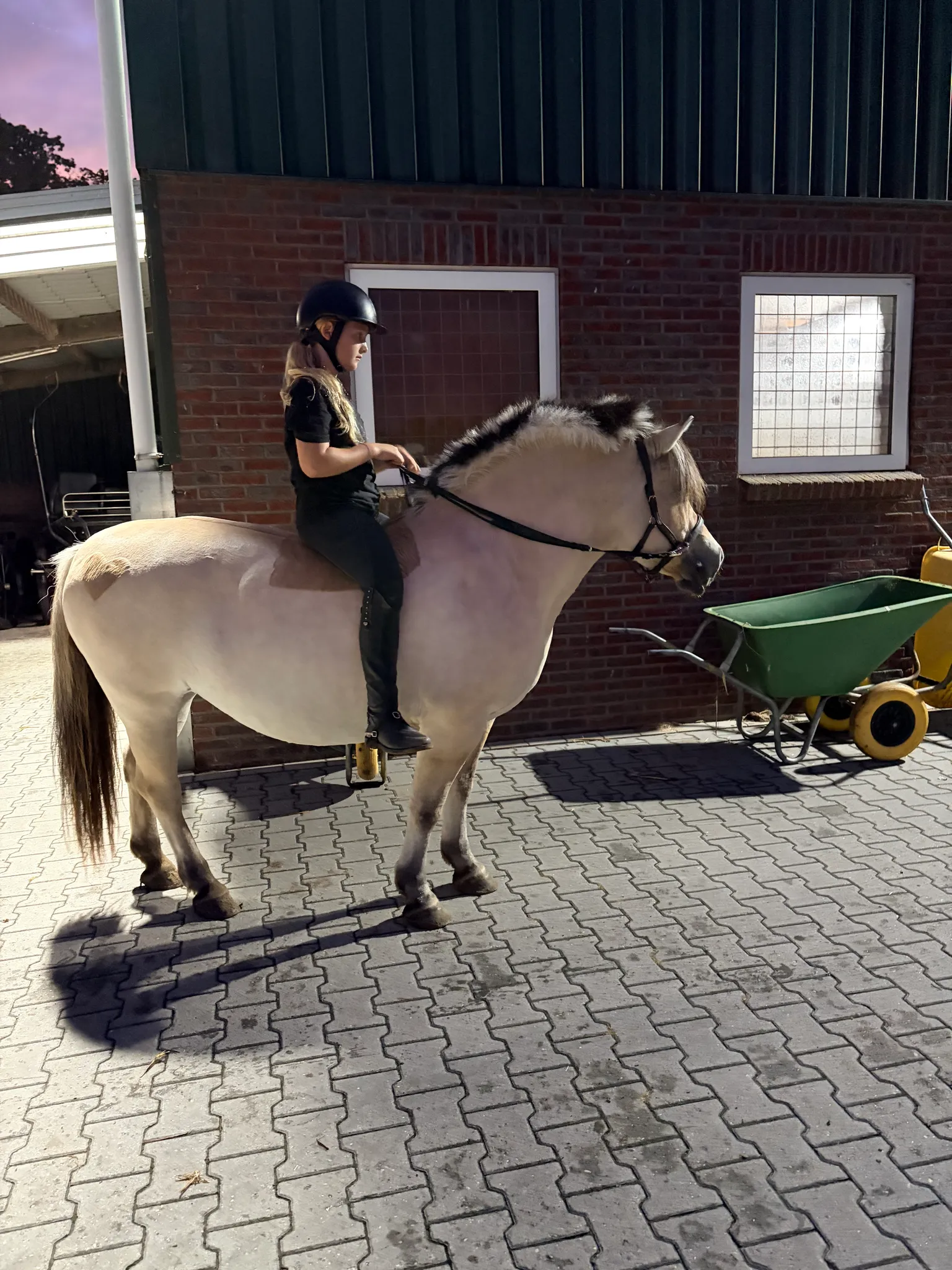 Afbeelding bij bericht van Carmen Altink