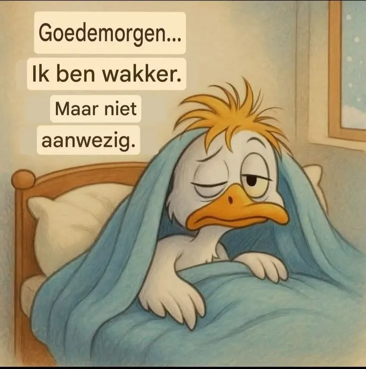 Afbeelding bij bericht van Co Loeffen
