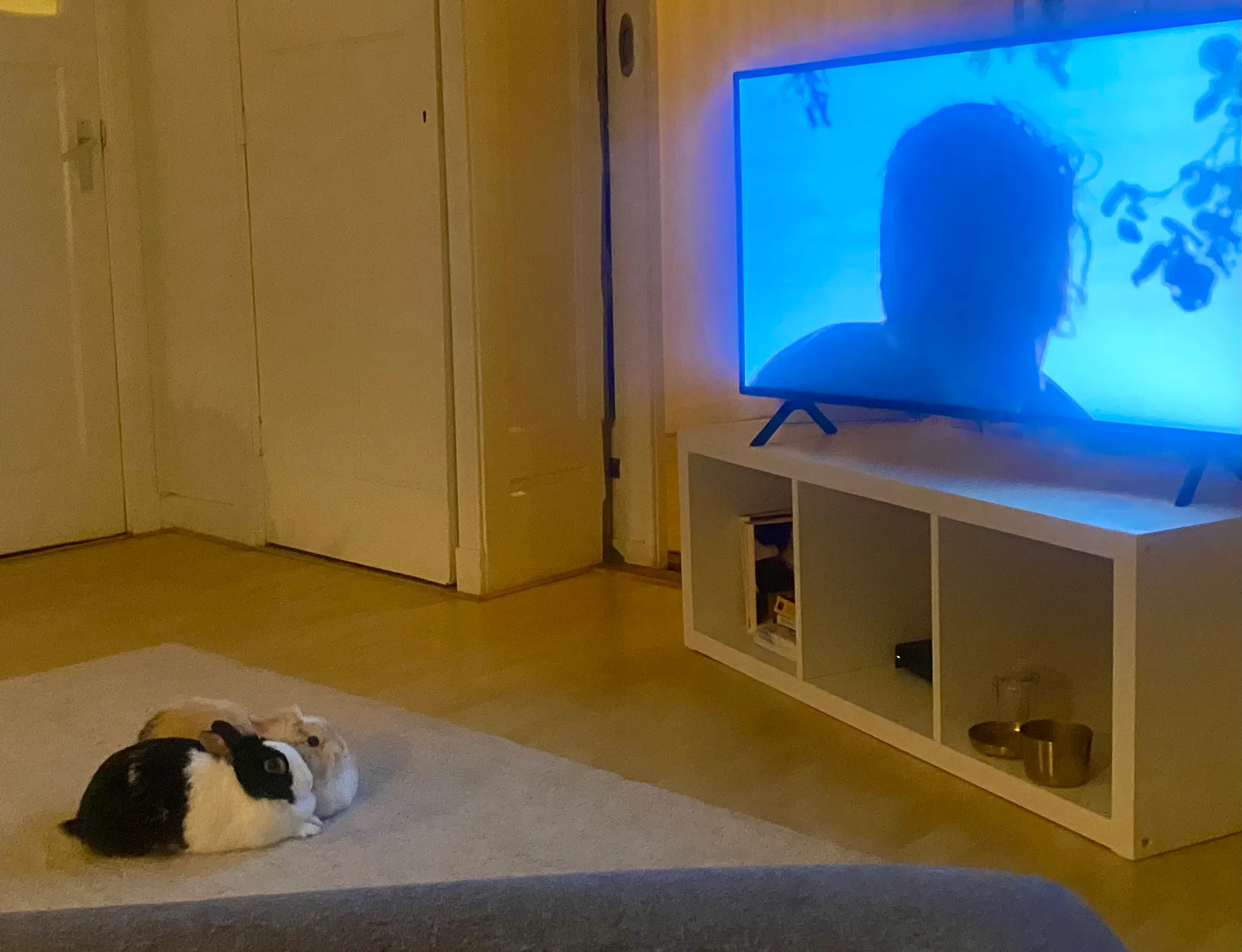 Afbeelding bij bericht van Daphne Kroon
