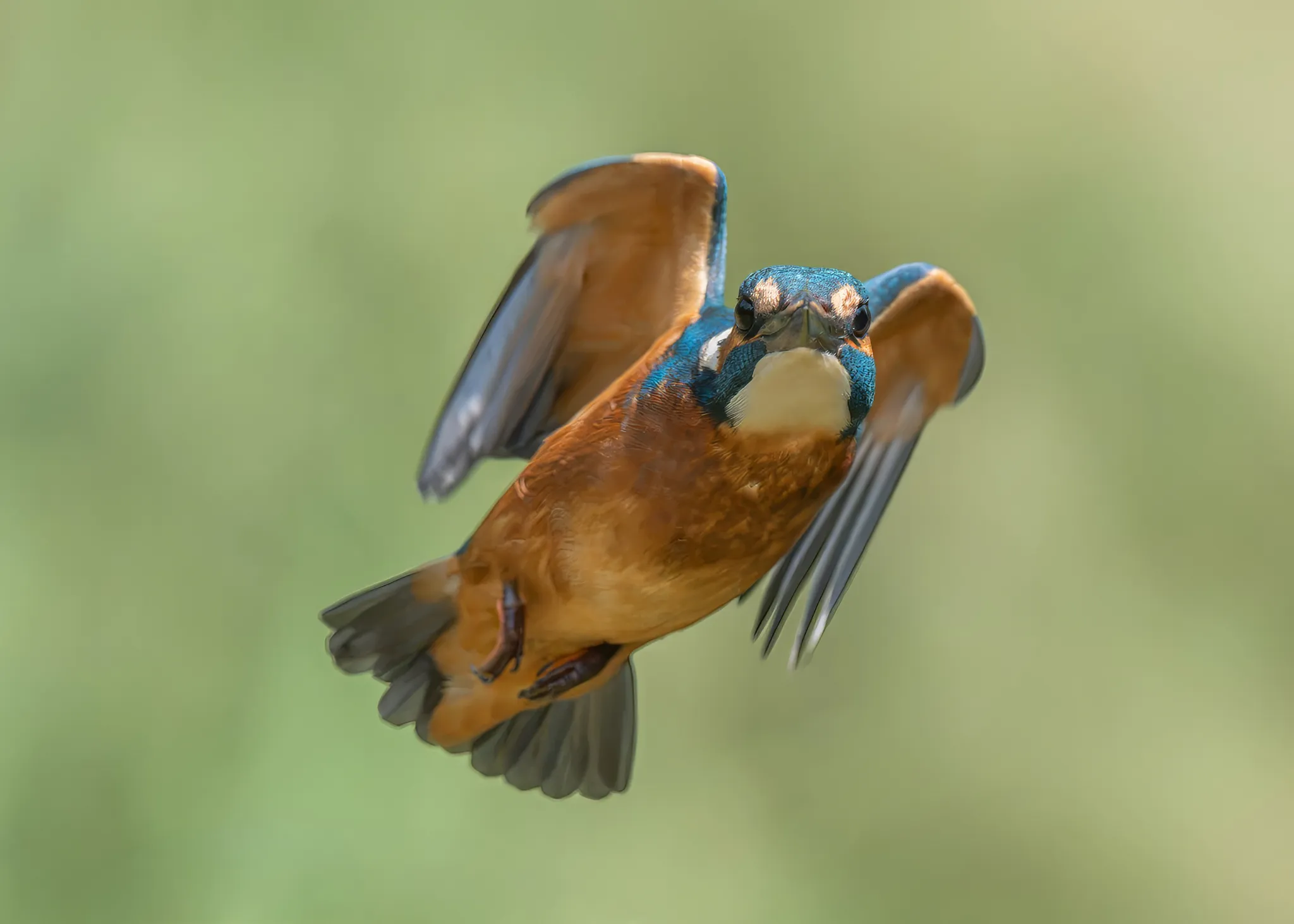 Afbeelding bij bericht van Fotografie Lies Lies Bakker Bakker