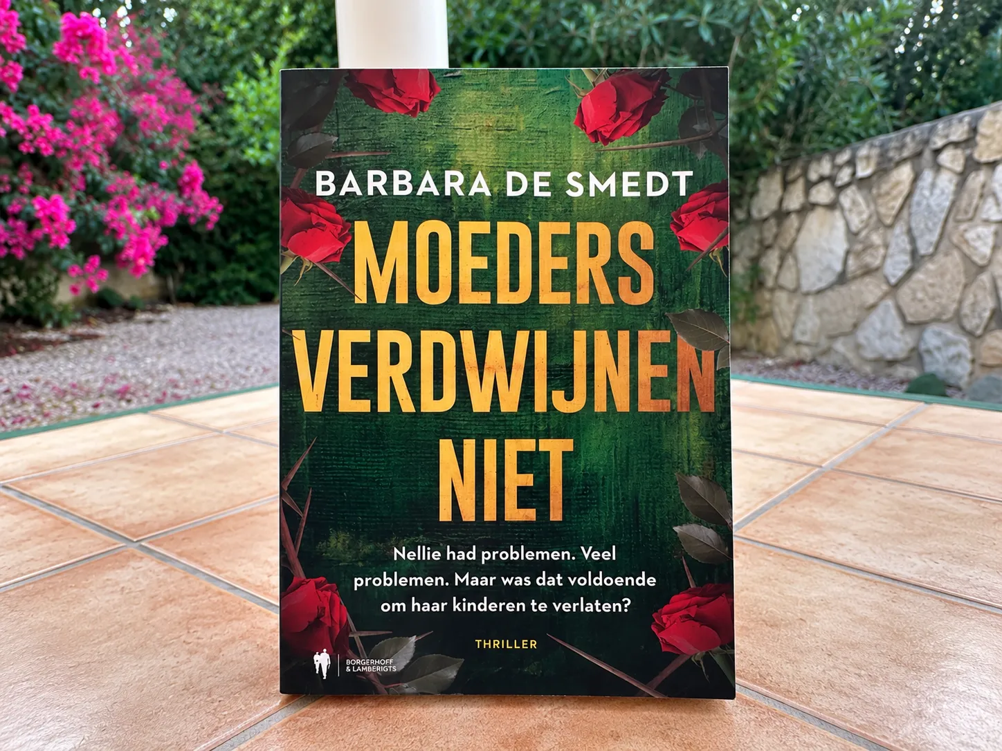 Afbeelding bij bericht van Sonja Brasser-de Bos