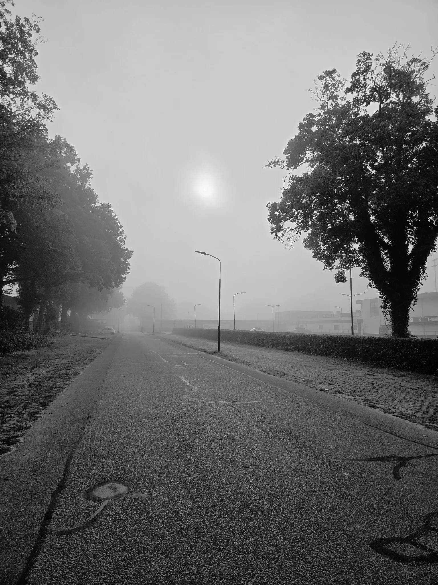Afbeelding bij bericht van Willie Van Willegen Veenendaal