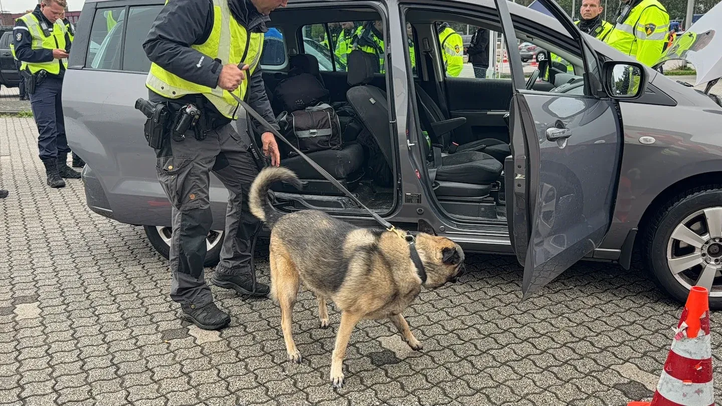 Afbeelding bij bericht van Redactie MaasduinenCentraal