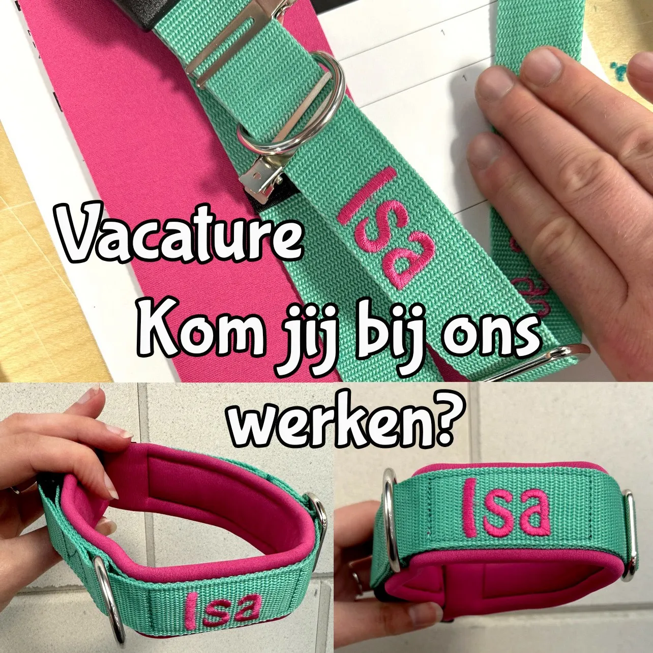 Afbeelding bij bericht van Lisanne Hoog