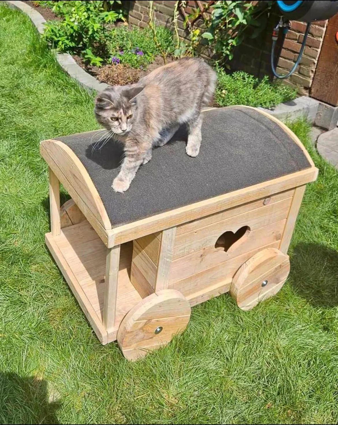 Afbeelding bij bericht van Wichs Kattenhuisjes