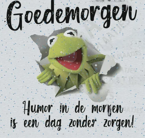 Afbeelding bij bericht van Martijn Hessels