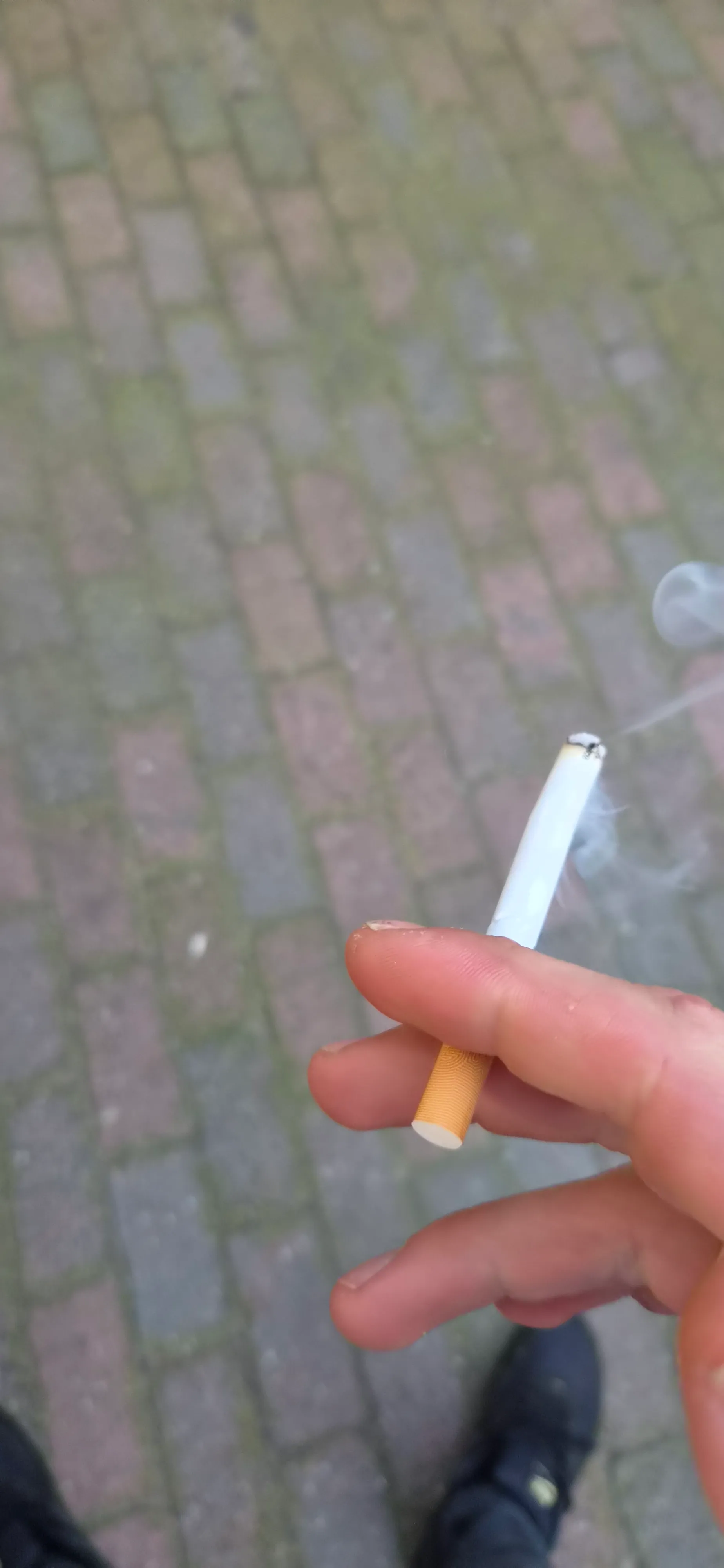 Afbeelding bij bericht van Sven Pas