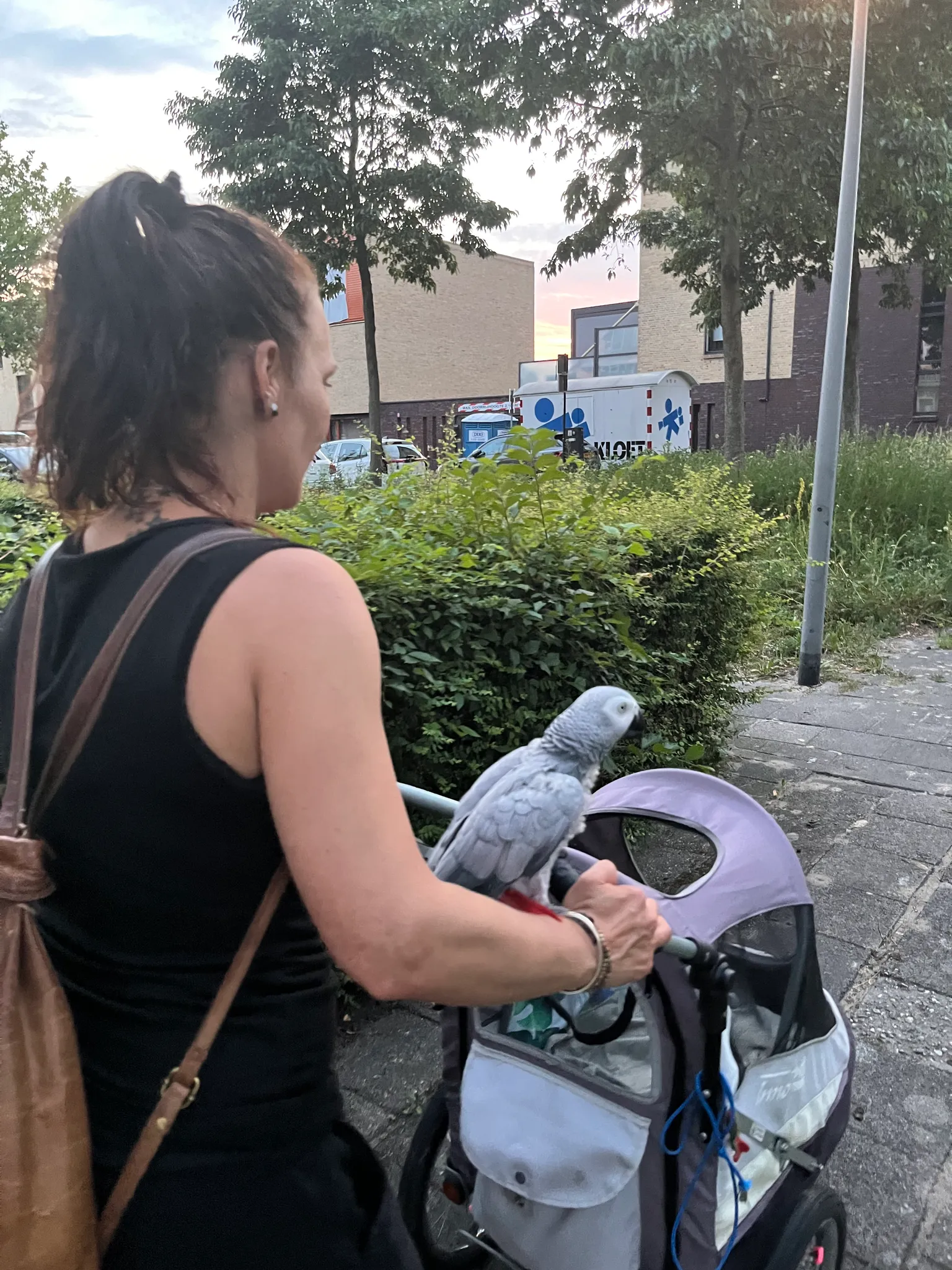 Afbeelding bij bericht van Evelyne Blanker