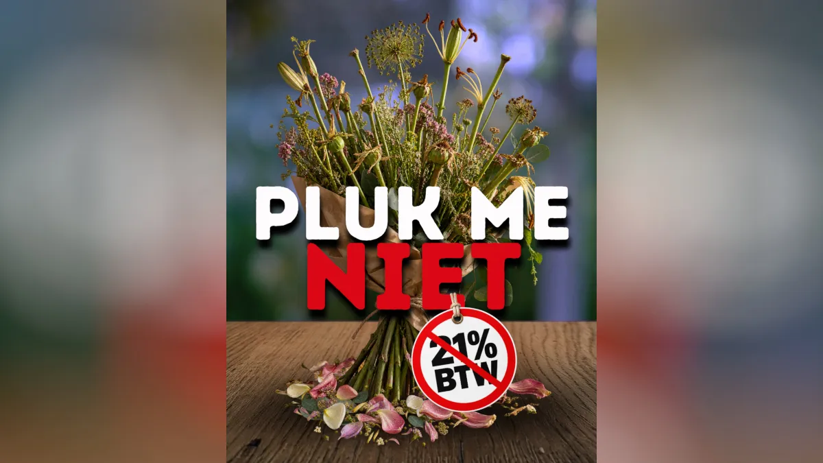 Afbeelding bij bericht van The City Sites Sites