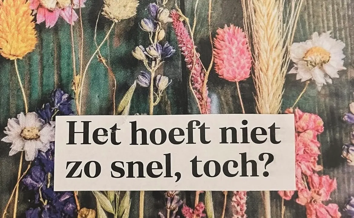 Afbeelding bij bericht van Sandra de Koning - van de Pol