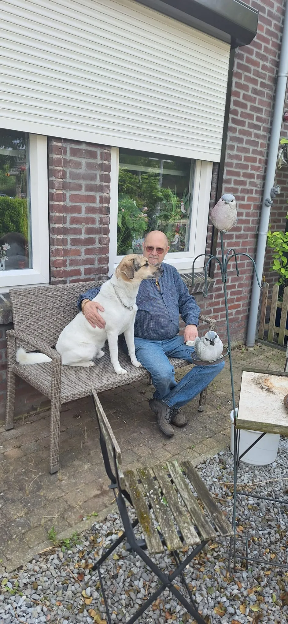Afbeelding bij bericht van Jo Tijink