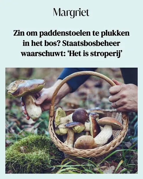 Afbeelding bij bericht van Remco Haantjens