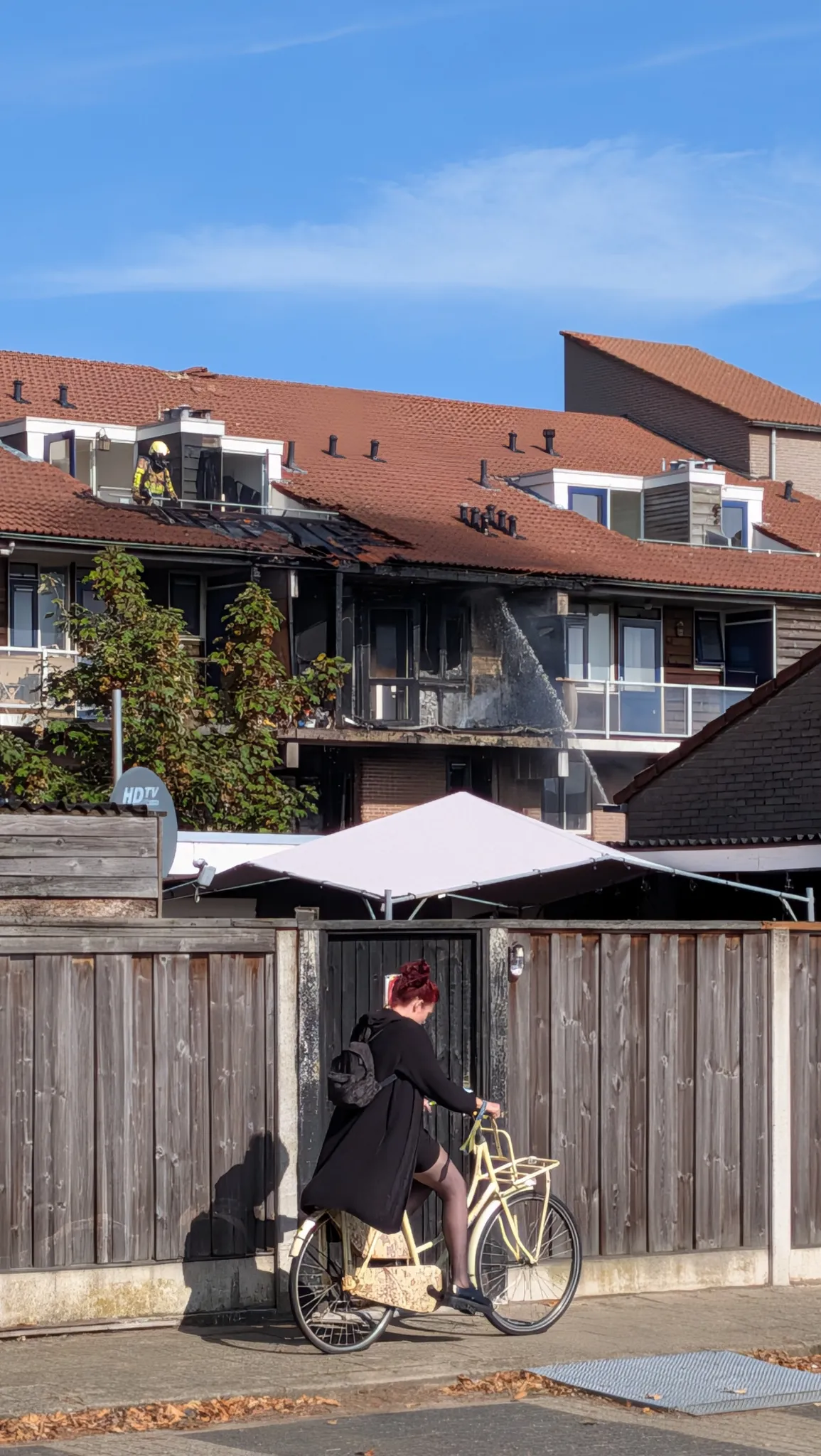 Afbeelding bij bericht van Pim Veldhof