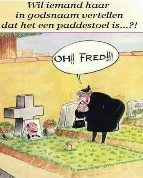 Afbeelding bij bericht van Mara Binner