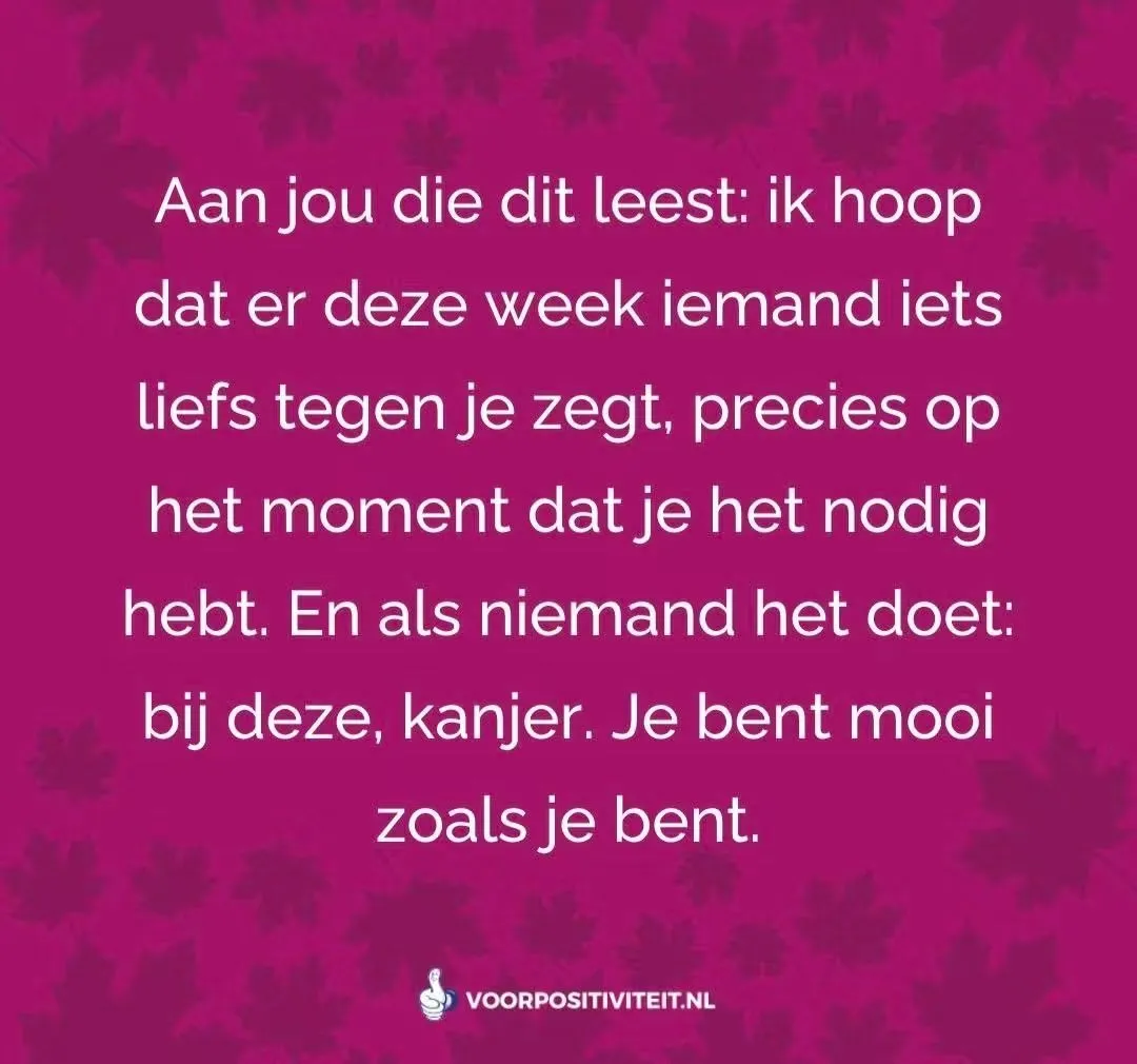 Afbeelding bij bericht van Scott Van Der Leeuw